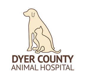 Dyer County Animal Hospital